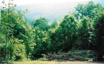 Pantherlick Road, Sugar Run, PA 18846 - #1