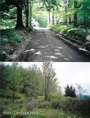 Pantherlick Road, Sugar Run, PA 18846 - #2
