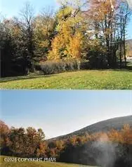 Pantherlick Road, Sugar Run, PA 18846 - #3