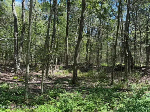 20 Wildbrook Drive, Newfoundland, PA 18445