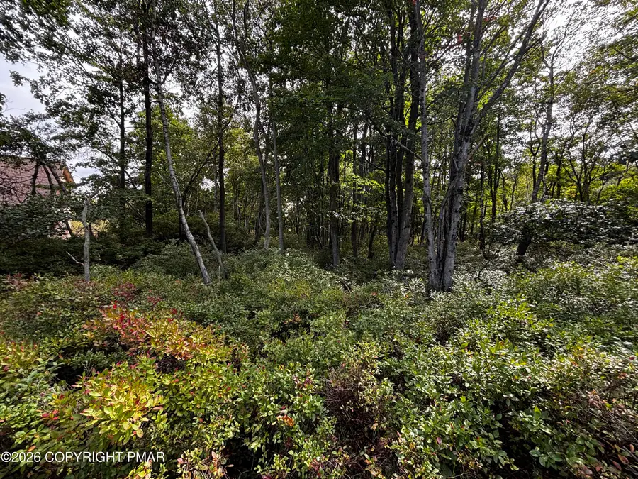 1112 Lr 45040 5117, Long Pond, PA 18334 - #2