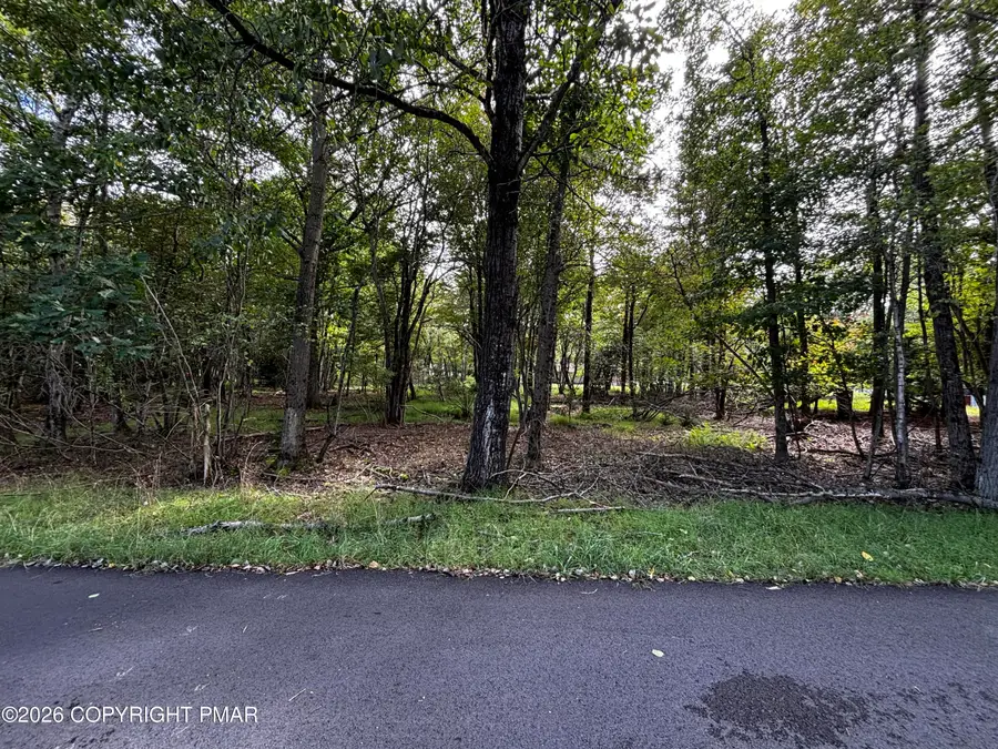 3137 Pine Tree Lane, Mount Pocono, PA 18344 - #2