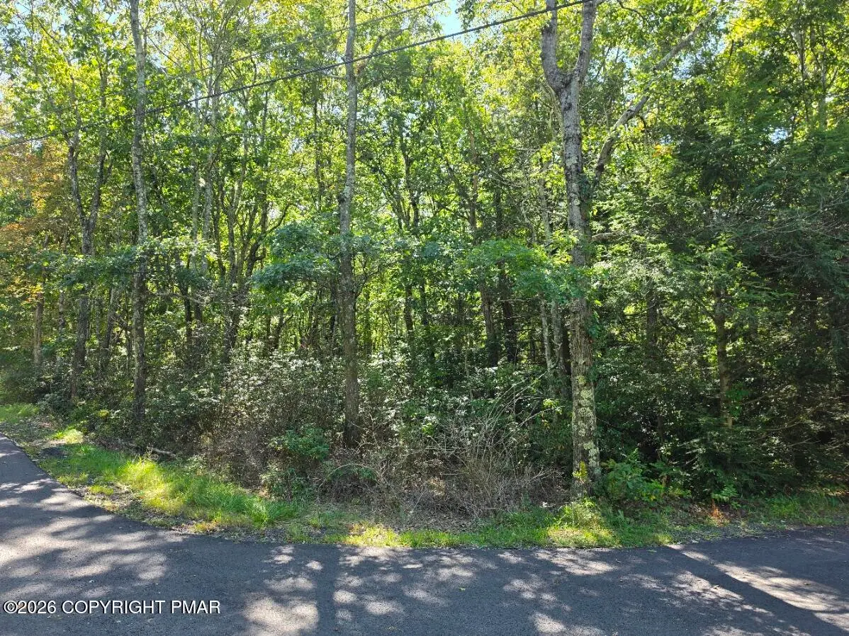 Lot L135 Penn Spring Drive, Jim Thorpe, PA 18229 - #1