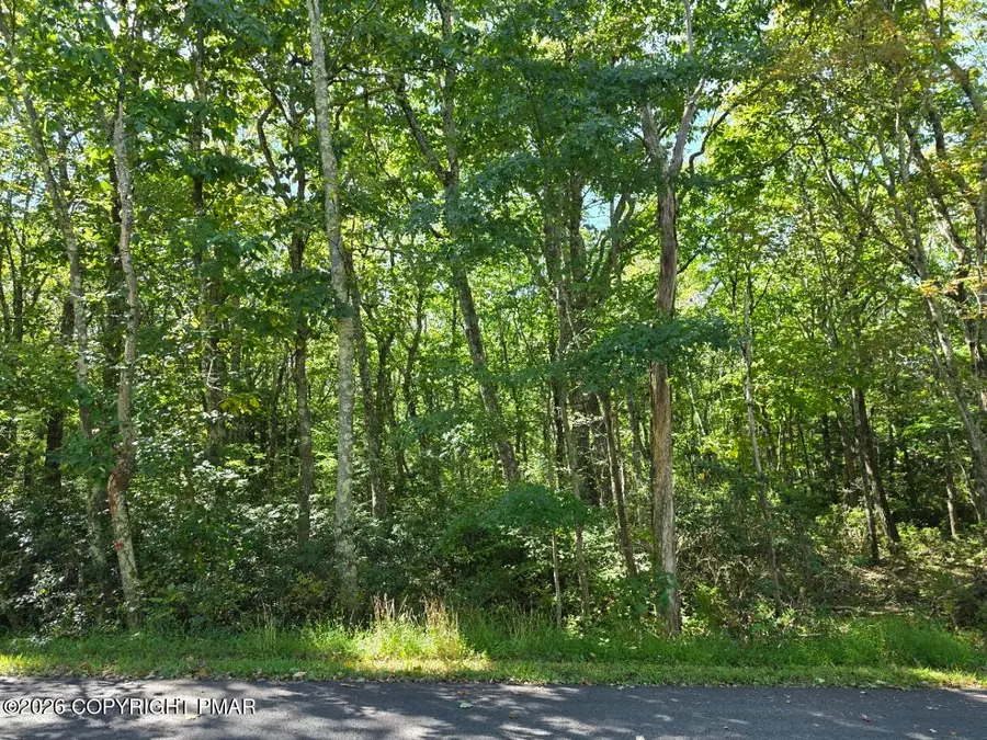 Lot L135 Penn Spring Drive, Jim Thorpe, PA 18229 - #3
