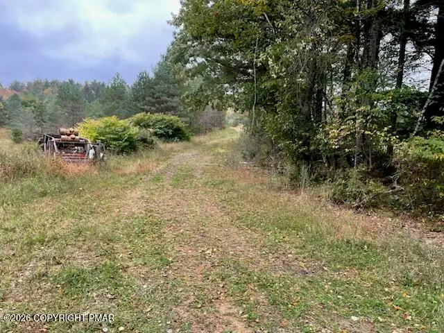 Clearview Road, Long Pond, PA 18334 - #2