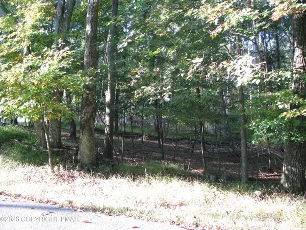 505 Magic Mountain Road, Henryville, PA 18332