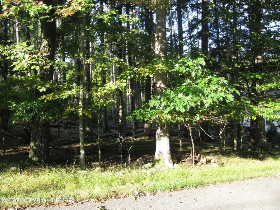 505 Magic Mountain Road, Henryville, PA 18332 - #2