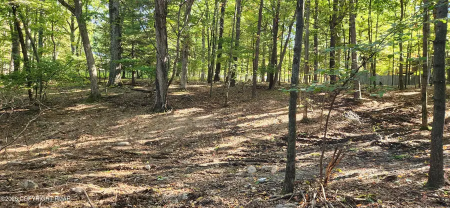 Goldfinch Pl Place, Mount Pocono, PA 18344 - #3