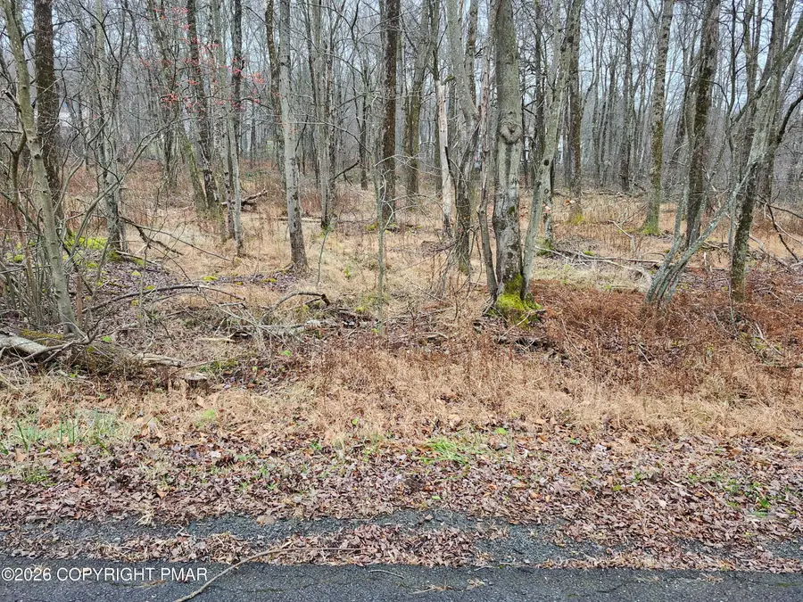 Oak View Lane, Tobyhanna, PA 18466 - #2