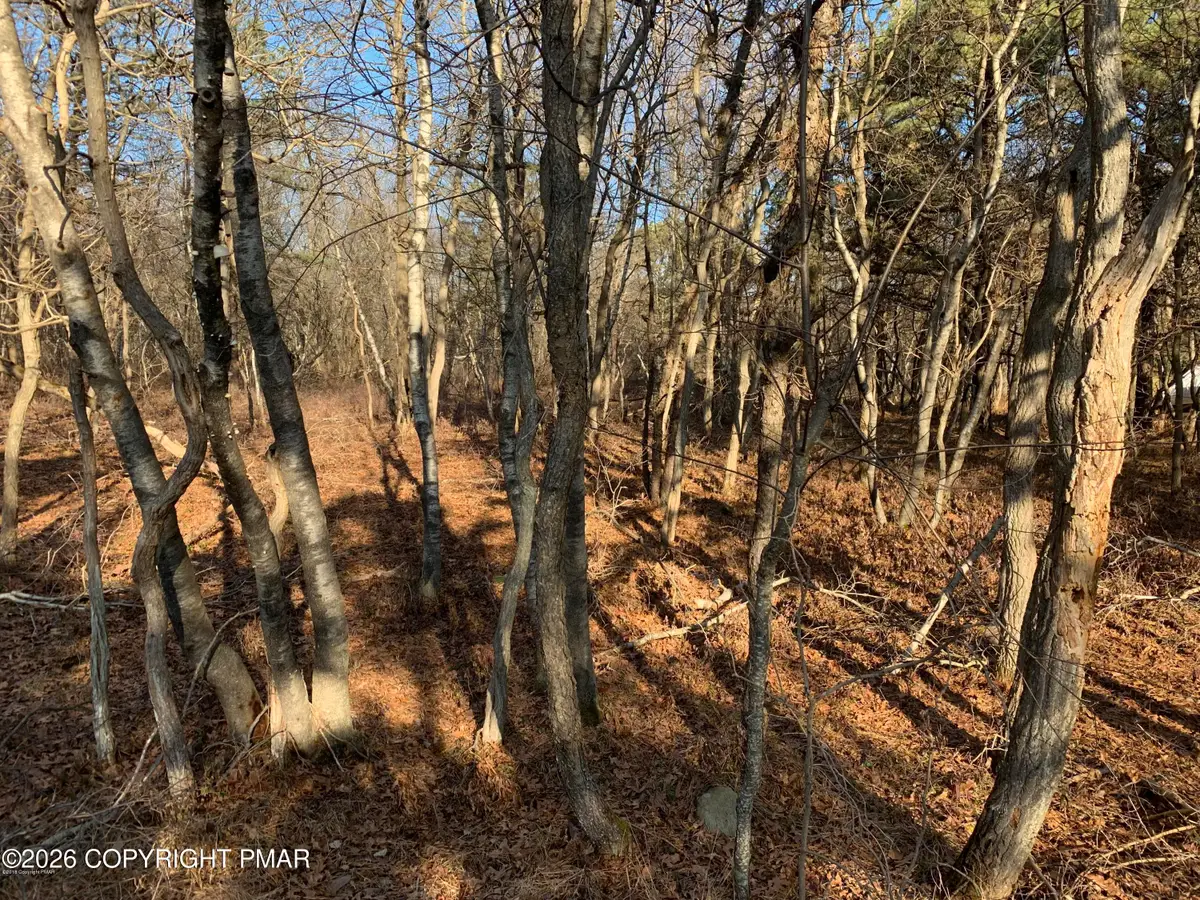 Chippewa Trail, Albrightsville, PA 18210 - #1