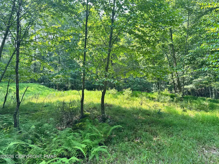 Private Dr 2c Drive, Henryville, PA 18332 - #3