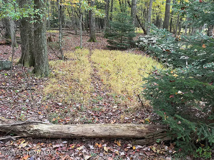 Cays Rd Road, Stroudsburg, PA 18360 - #3