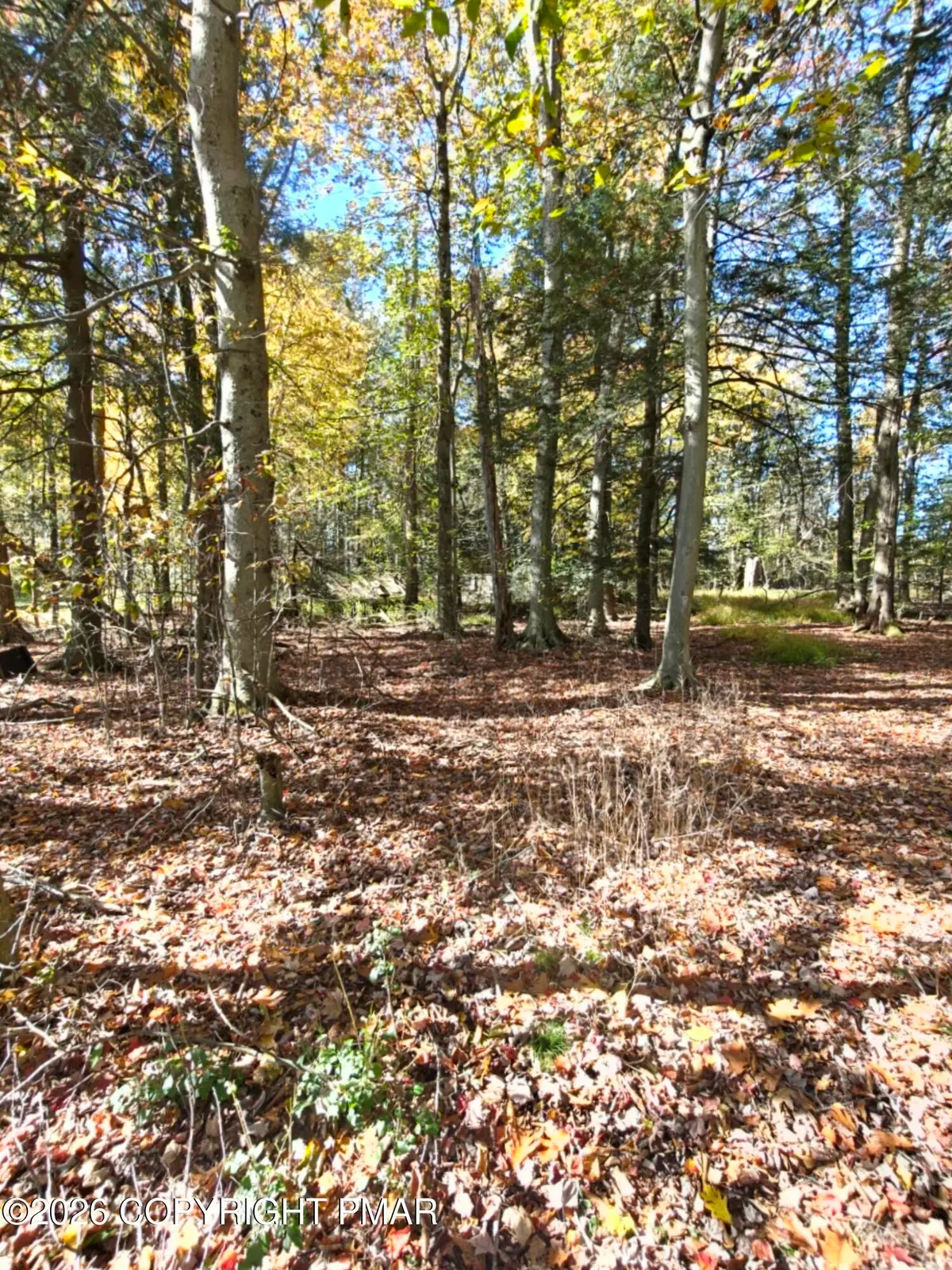 6149 Victoria Drive, Tobyhanna, PA 18466 - #1