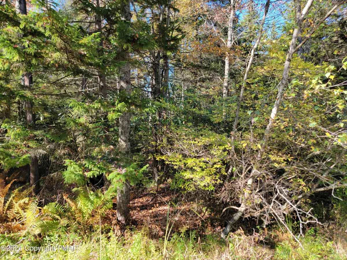 LOT 18& 19 Louis Lane, Gouldsboro, PA 18424 - #1