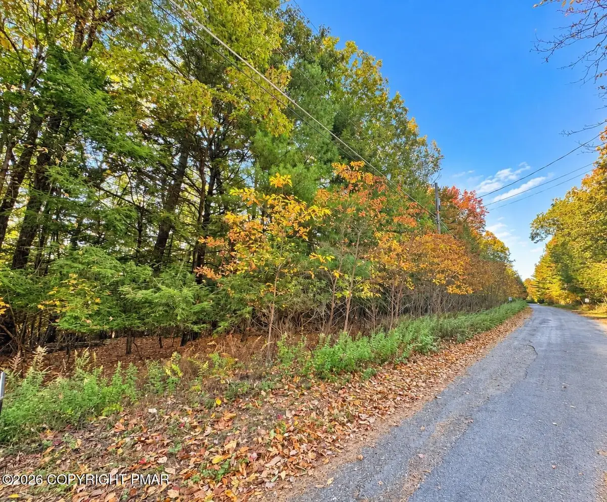 Turkey Ridge Road, Kunkletown, PA 18058 - #1