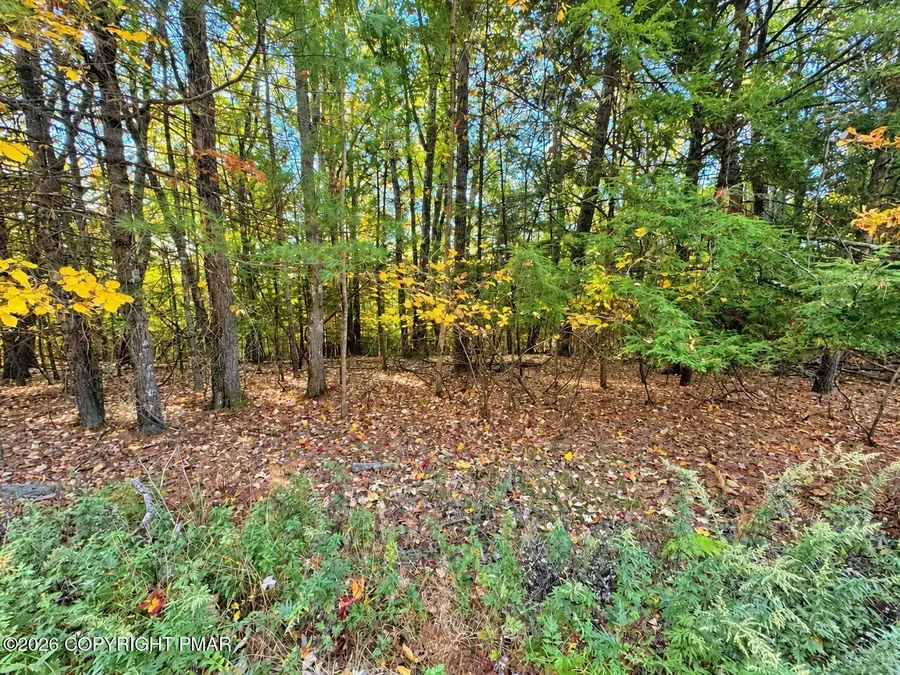 Turkey Ridge Road, Kunkletown, PA 18058 - #3