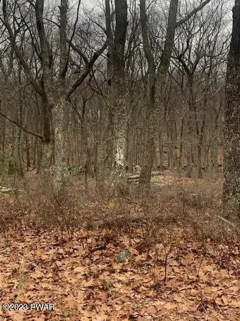 #3