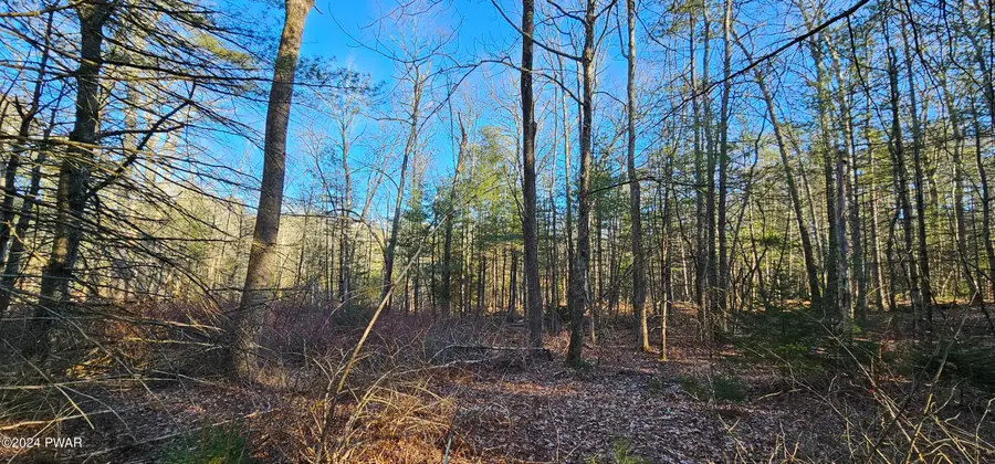 Lot 57.1 Yulan-barryville Road, Barryville, NY 12719 - Image #2