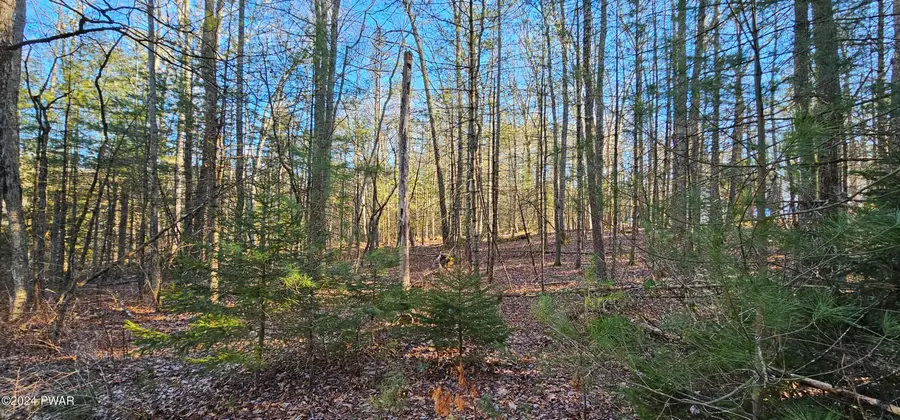 Lot 57.1 Yulan-barryville Road, Barryville, NY 12719 - Image #3
