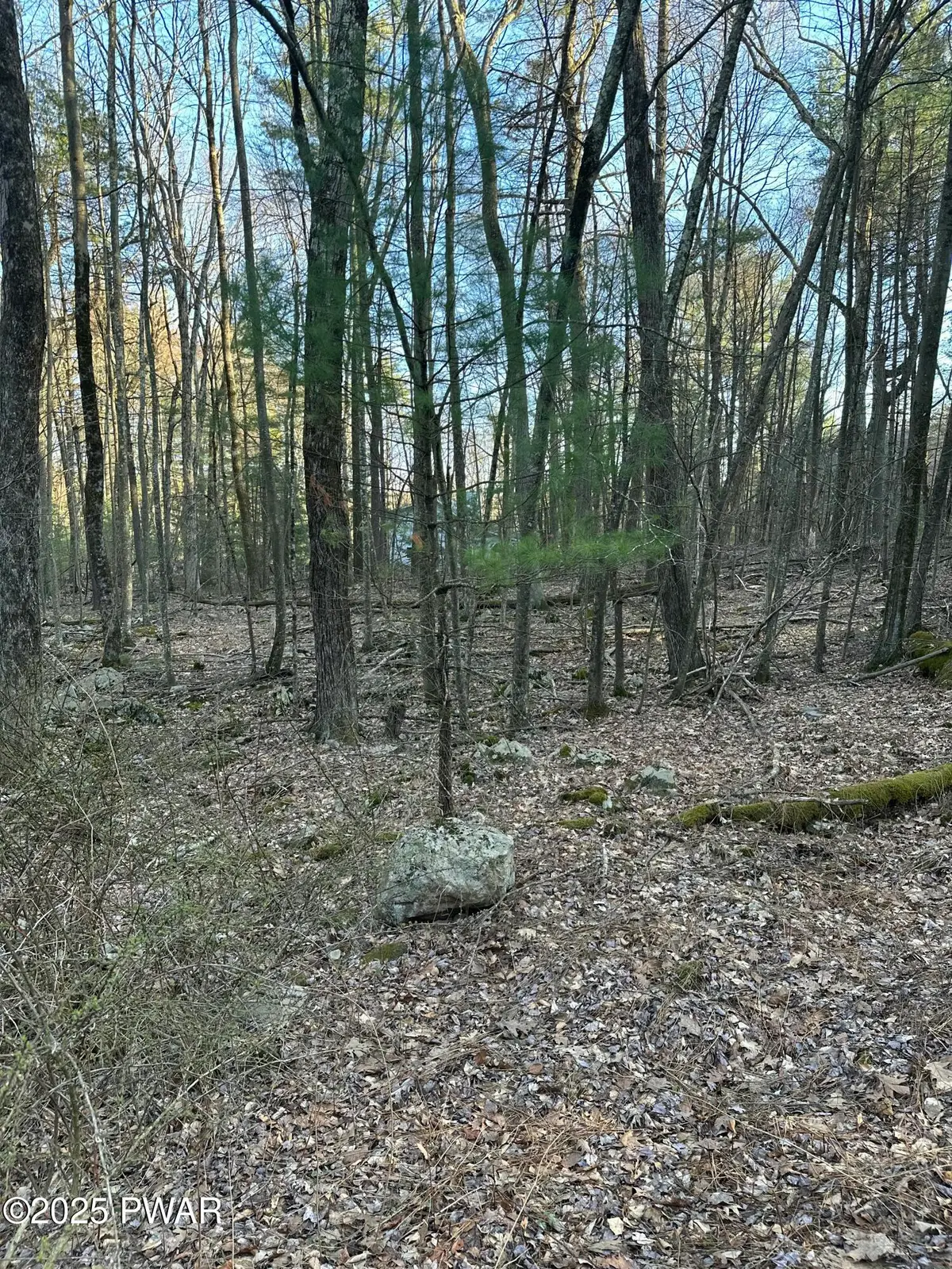#1