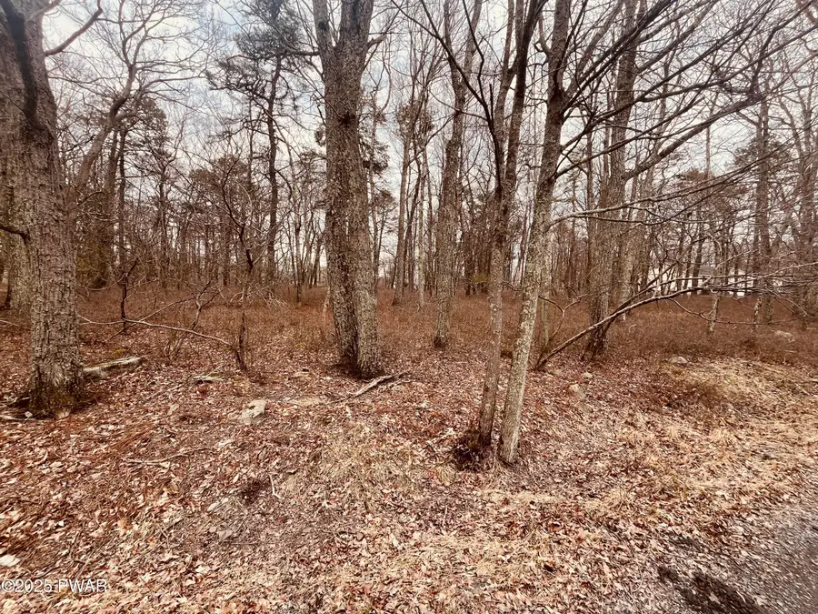 #3