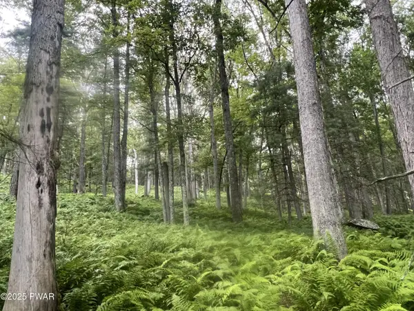 259 Lackawaxen Road, Narrowsburg, NY, NY 12764