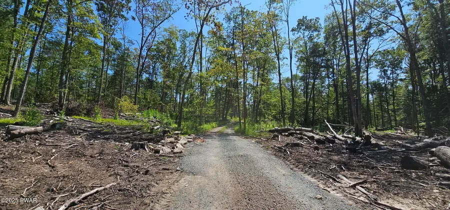 Lot 8.1 Eckes Road, Tusten, NY 12764 - Image #2