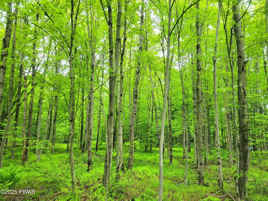 Lot 94-101 Greensward, Newfoundland, PA 18445 - Image #2