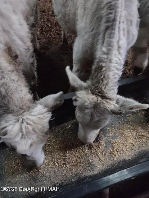 67 E Sterling Road, Newfoundland, PA 18445 - Image #2