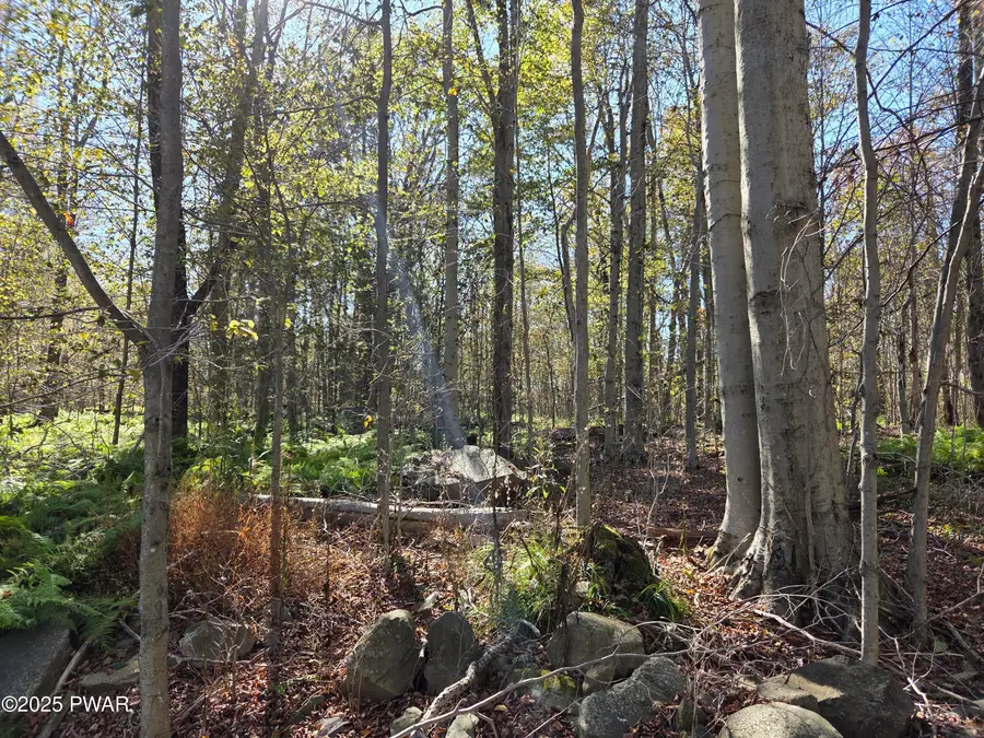 State Park Rd Road, Gouldsboro, PA 18424 - #3