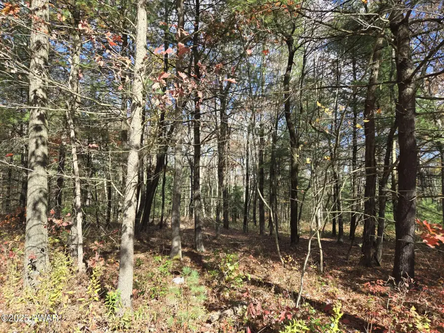 Lot 6 Rt 739, Lords Valley, PA 18428 - Image #3