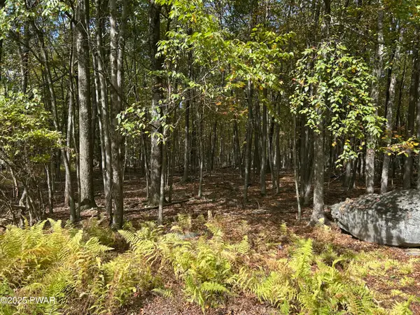 Lot 251 W Chipmunk Road, Bushkill, PA 18324