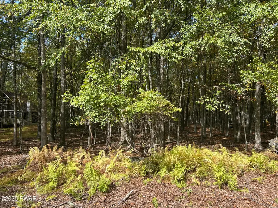 Lot 251 W Chipmunk Road, Bushkill, PA 18324 - Image #3