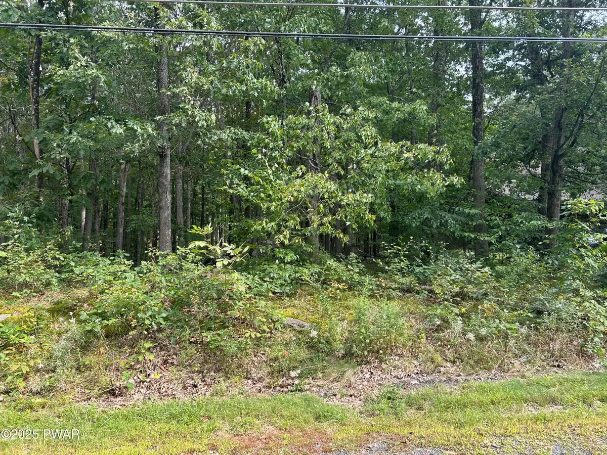 Lot 42 Willow Drive, Hawley, PA 18428 - Image #1