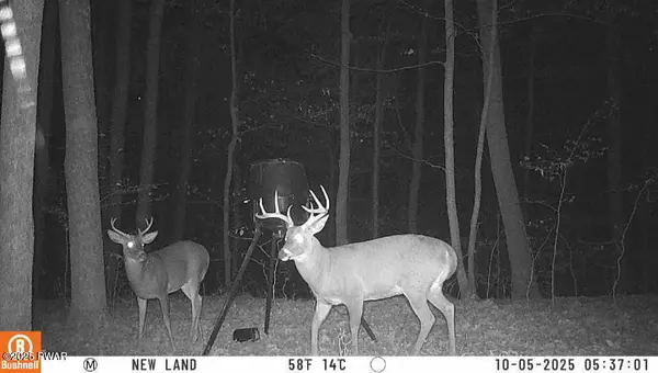 4, 5, 6, 7 Secluded Lake Road, Newfoundland, PA 18445