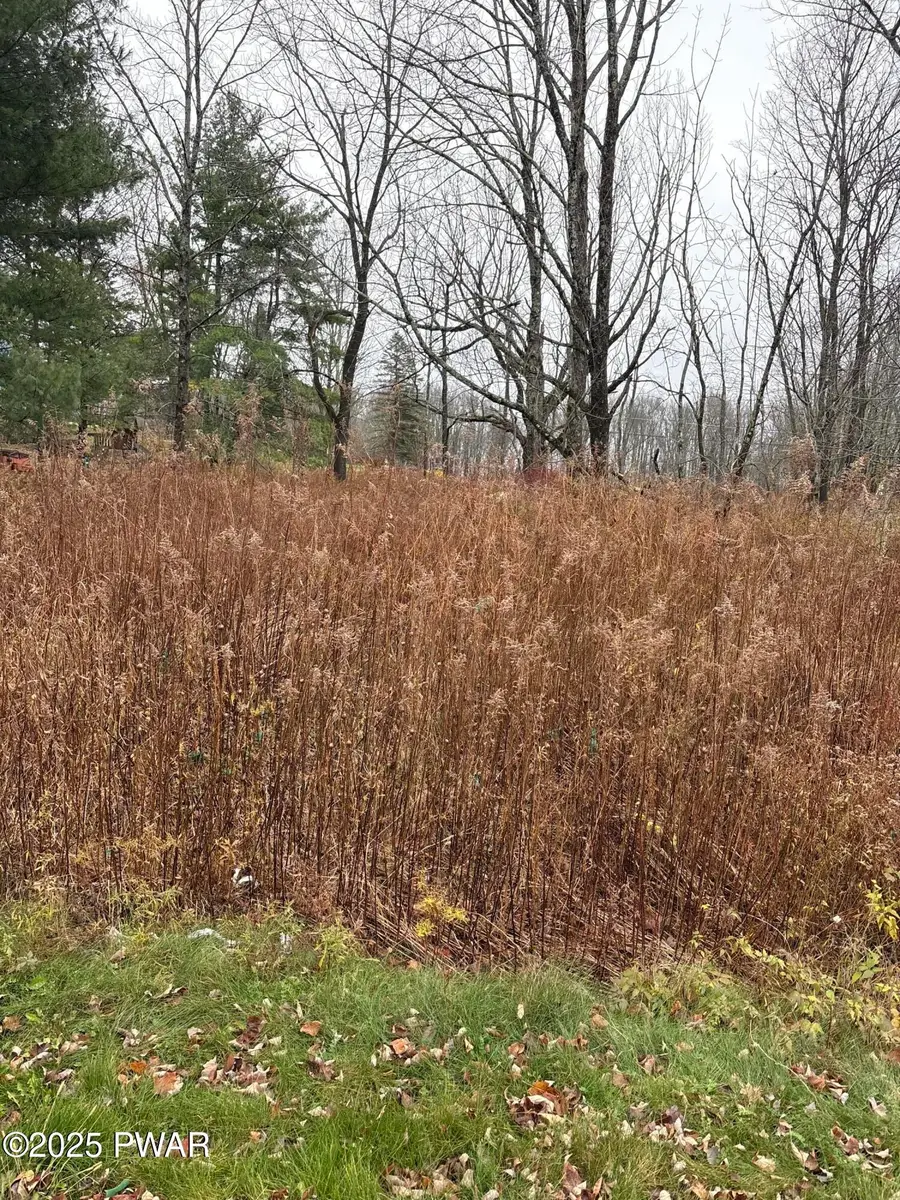 2093 Glenwood Lane, Lake Ariel, PA 18436 - Image #3