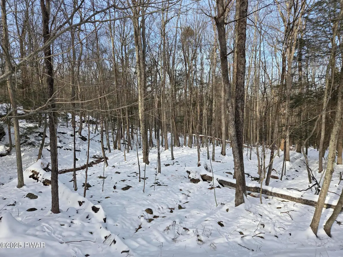 118 Pioneer Drive, Lackawaxen, PA 18435 - Image #1