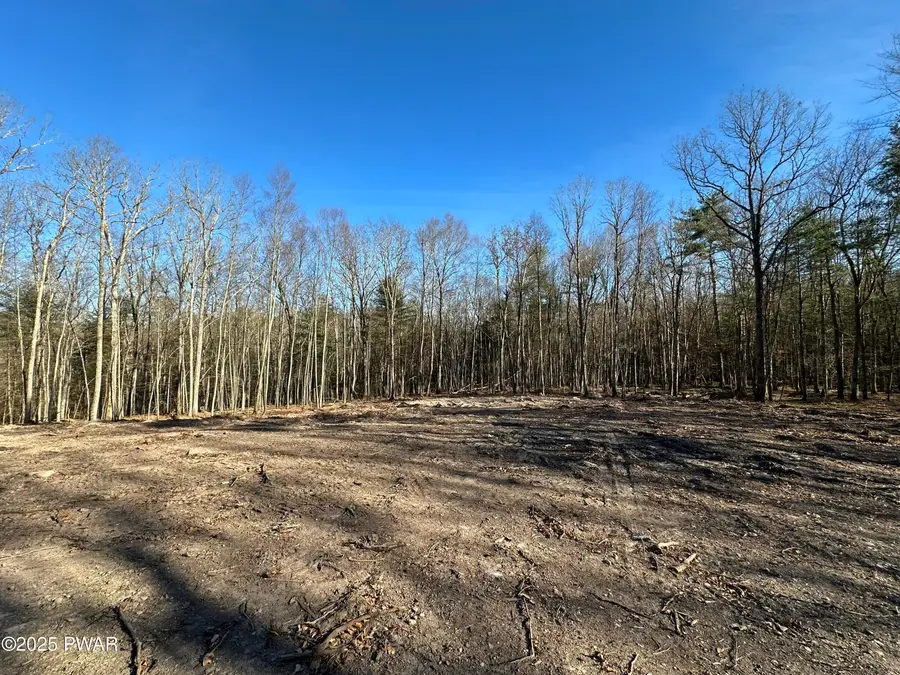 Lot 1.6 Foster (south) Trail, Tusten, NY 12764 - Image #3