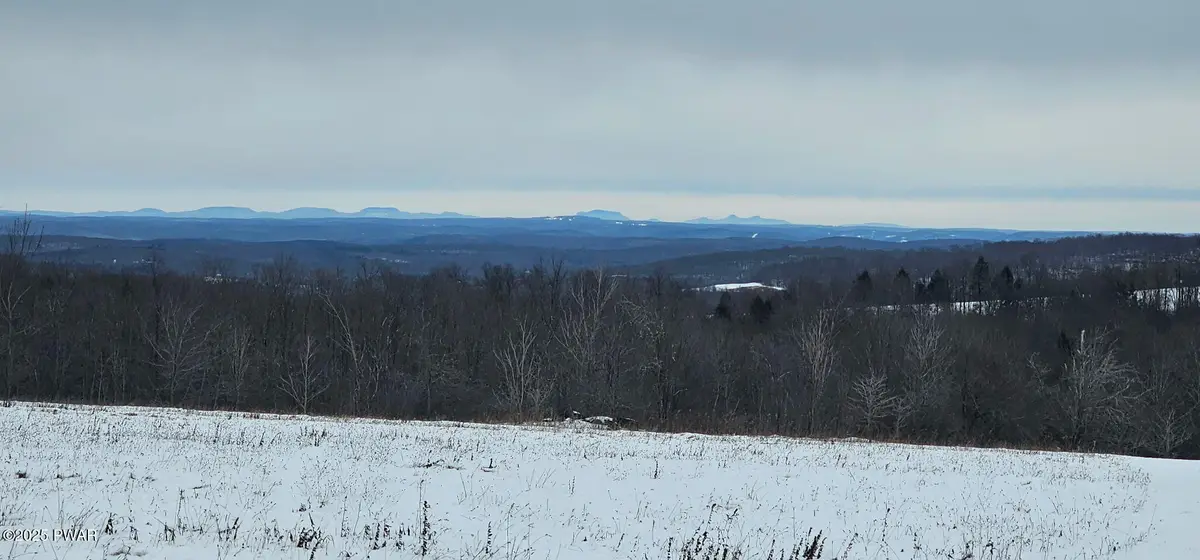 224 Cribbs Road, Pleasant Mount, PA 18453 - Image #1