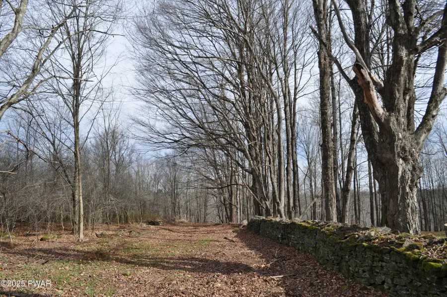Bryn Mawr Road, Honesdale, PA 18431 - Image #2