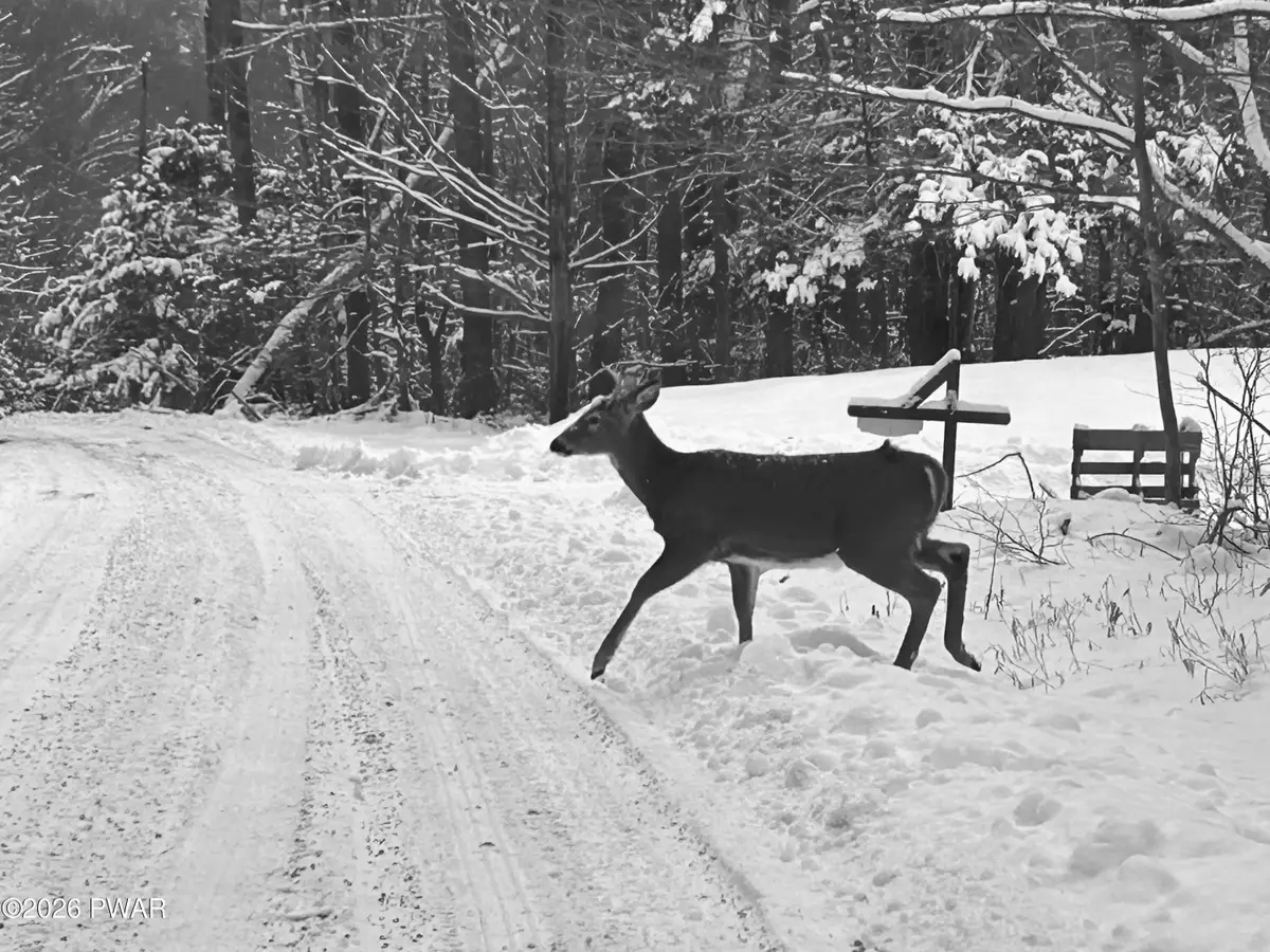 Lot 15 Game Trail Drive, Greentown, PA 18426 - #1