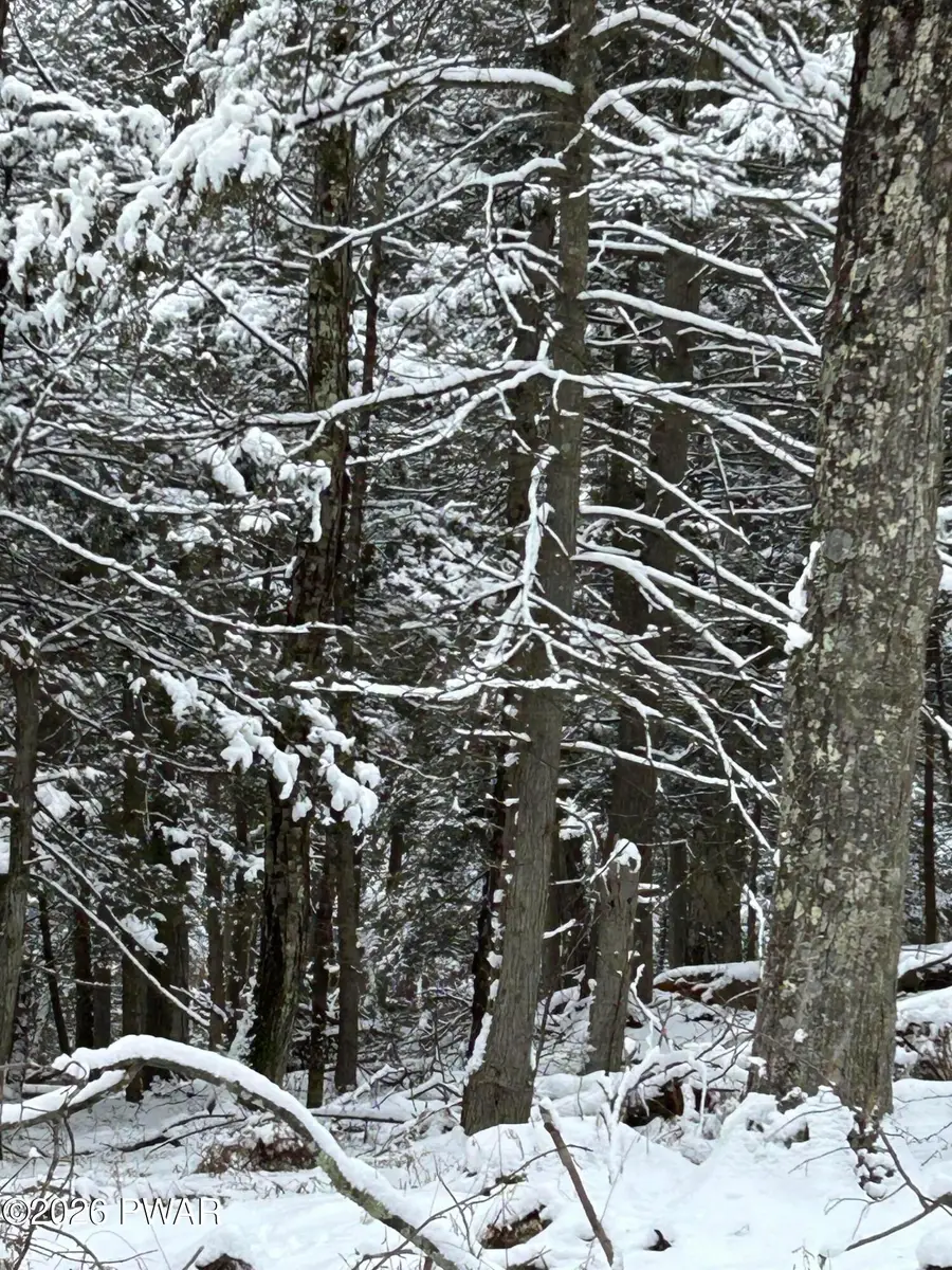 Lot 15 Game Trail Drive, Greentown, PA 18426 - #2