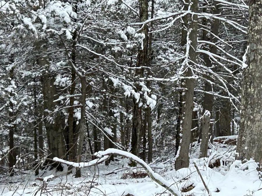 Lot 15 Game Trail Drive, Greentown, PA 18426 - #3