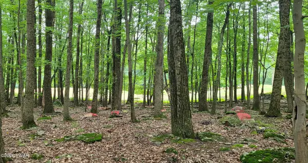 216r Big Bear, Greentown, PA 18426