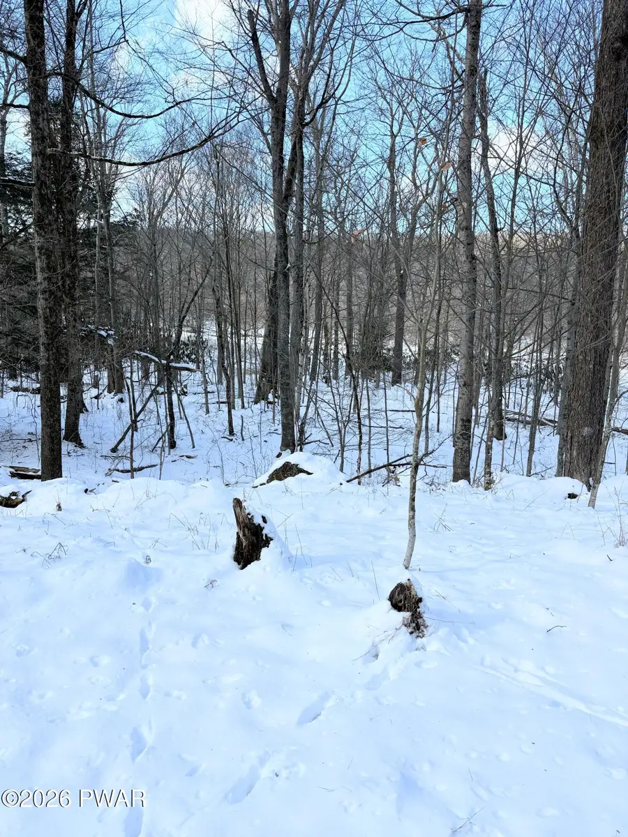 174-175R Rainbow Trout Terrace, Greentown, PA 18426 - #3