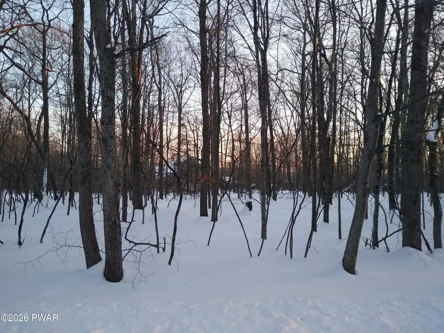 Seminole Drive, Lakeville, PA 18438 - #2