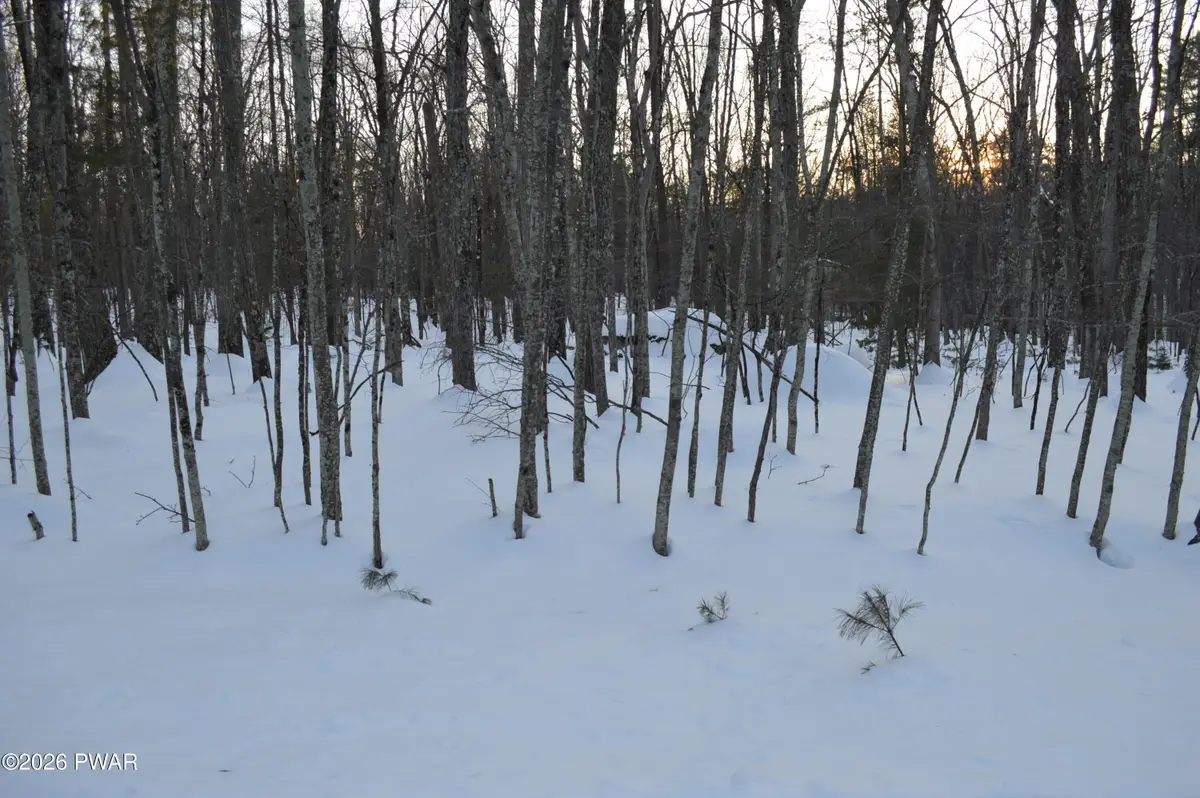 Bear Paw Drive, Lakeville, PA 18438 - #1