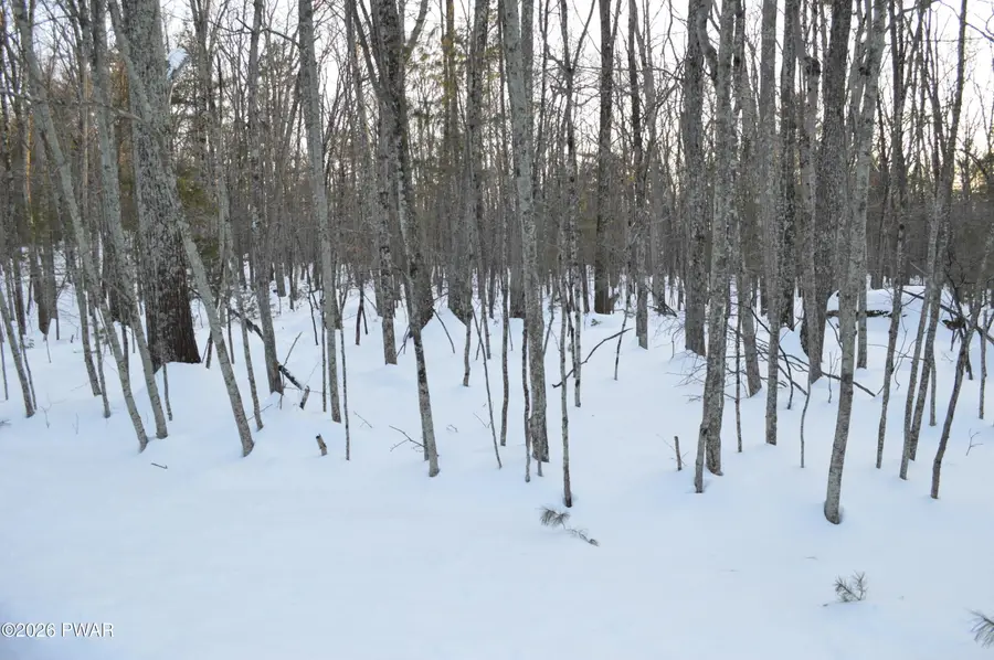 Bear Paw Drive, Lakeville, PA 18438 - #2