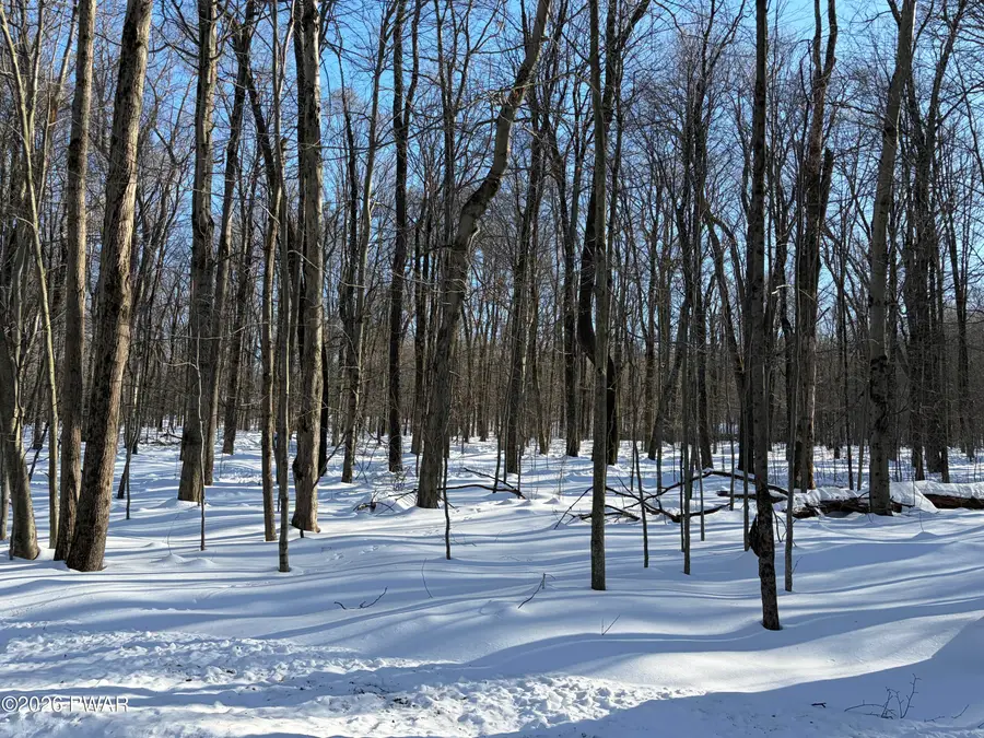 Lot 19 Panther Hill Circle, Newfoundland, PA 18445 - #2