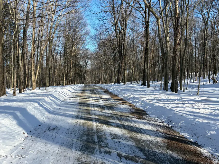 Lot 19 Panther Hill Circle, Newfoundland, PA 18445 - #3